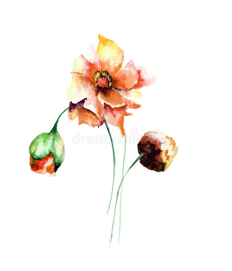 Fleurs d'été illustration stock. Illustration du ressort - 33304157