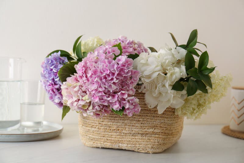 Belles fleurs d'hortensia dans un panier sur le gros plan de table photographie stock