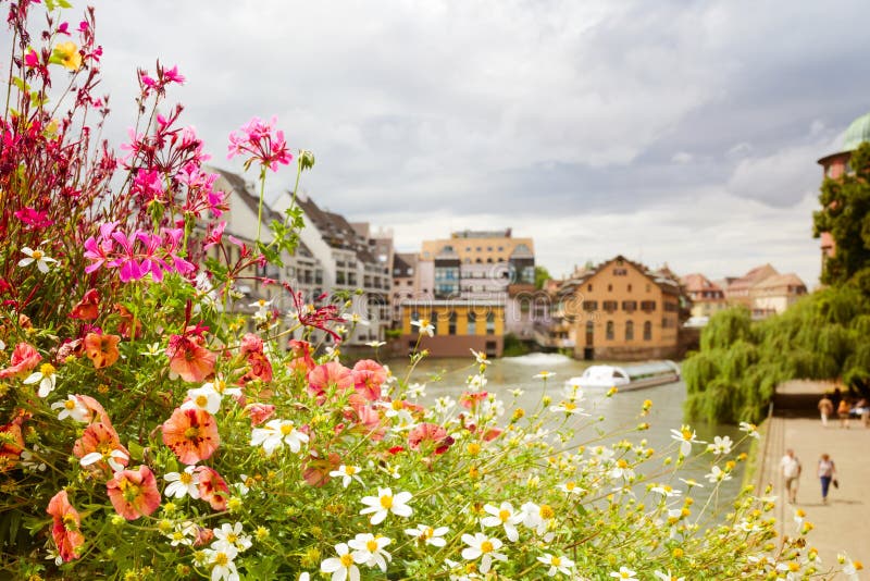 Belles fleurs d'été au-dessus de position européenne de ville photo libre de droits Belles fleurs d'été au-dessus de position européenne de ville photo libre de droits