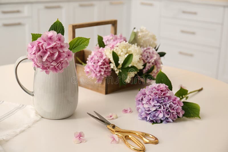 Belles fleurs et ciseaux d'hortensia sur la table. Élément de décoration photos stock