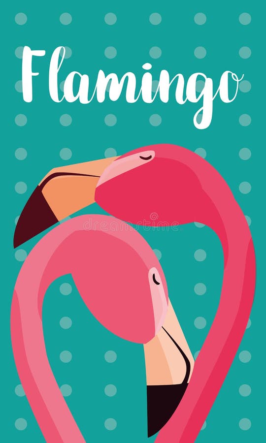 Belles têtes de couples d'oiseaux de flamants illustration libre de droits Belles têtes de couples d'oiseaux de flamants illustration libre de droits