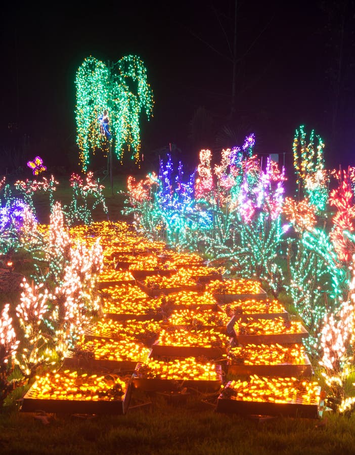 Yellow Brick Road Flower Christmas Lights at Night