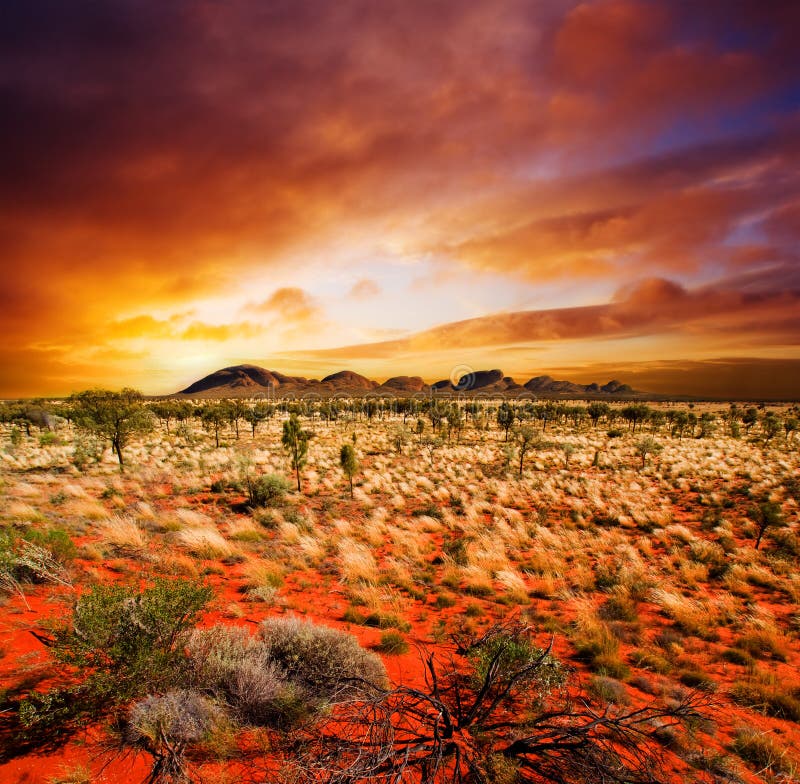 Belleza del desierto de la puesta del sol foto de archivo libre de regalías