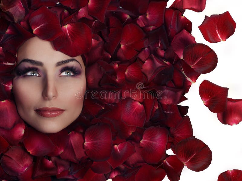 Bellezza in petali di Rosa fotografia stock Bellezza in petali di Rosa fotografia stock