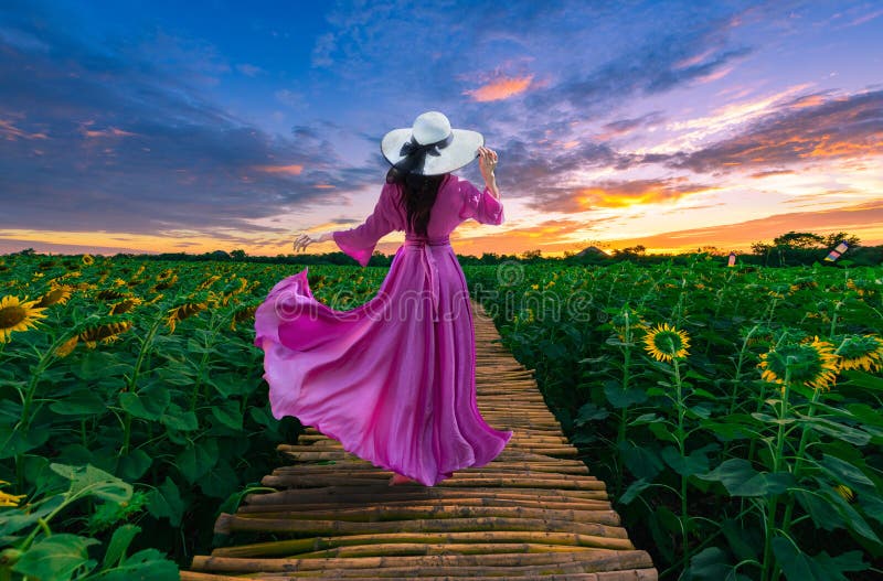 Bellissima donna in piedi con la schiena ruotata su uno sfondo all'alba con un campo di girasoli a Lopburi, Thailandia immagine stock libera da diritti Bellissima donna in piedi con la schiena ruotata su uno sfondo all'alba con un campo di girasoli a Lopburi, Thailandia immagine stock libera da diritti