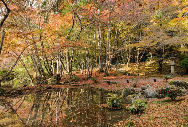 Bellissimo giardino autunnale di foglie colorate nel tempio Daigo-ji, Kyoto, Giappone fotografia stock libera da diritti Bellissimo giardino autunnale di foglie colorate nel tempio Daigo-ji, Kyoto, Giappone fotografia stock libera da diritti