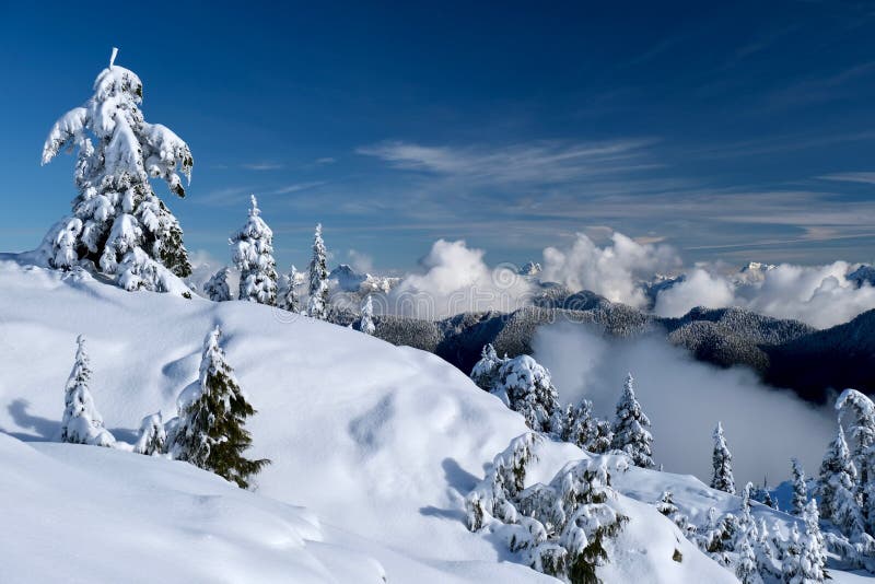 Bellissimo paesaggio vinicolo con alberi ricoperti di neve fresca e montagne in una giornata di sole fotografia stock libera da diritti Bellissimo paesaggio vinicolo con alberi ricoperti di neve fresca e montagne in una giornata di sole fotografia stock libera da diritti