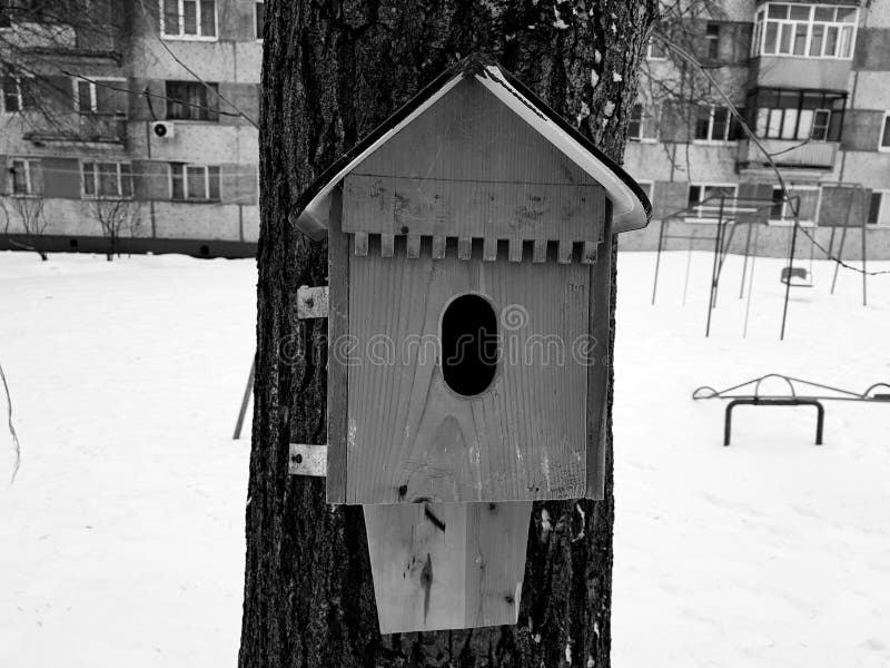 Bello alimentatore di legno del nido per deporre le uova o dell'uccello fotografia stock libera da diritti Bello alimentatore di legno del nido per deporre le uova o dell'uccello fotografia stock libera da diritti