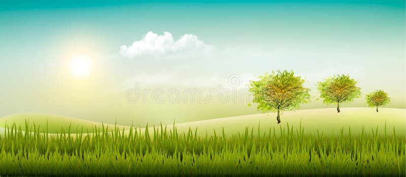 Beautiful summer countryside landscape background. Vector. Beautiful summer countryside landscape background. Vector.