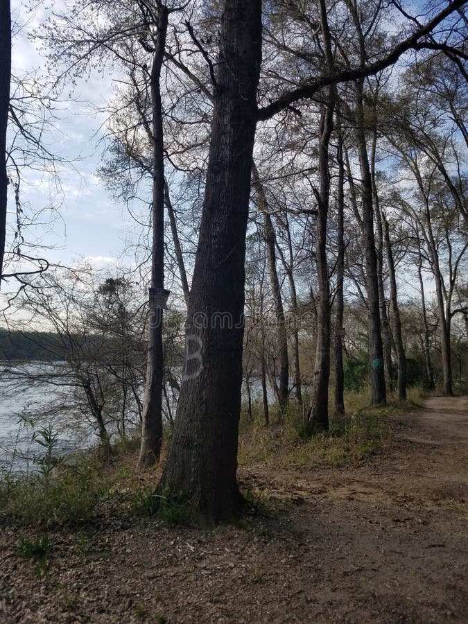 Bello giorno al paesaggio pacifico di divertimento della famiglia del parco romantico fotografie stock libere da diritti Bello giorno al paesaggio pacifico di divertimento della famiglia del parco romantico fotografie stock libere da diritti