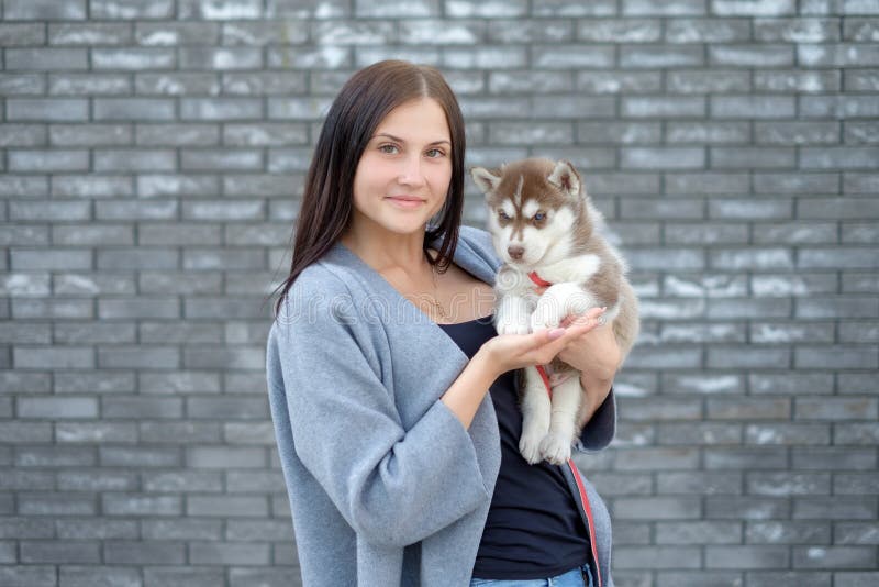 Bello giovane soddisfatto della donna graziosa di capelli scuri lunghi che tengono il piccolo cucciolo del cane sul fondo della c fotografie stock Bello giovane soddisfatto della donna graziosa di capelli scuri lunghi che tengono il piccolo cucciolo del cane sul fondo della c fotografie stock