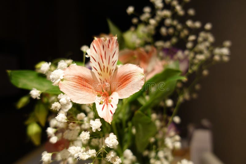 Bello mazzo di nozze composto di fiori differenti su un fondo nero fotografia stock libera da diritti Bello mazzo di nozze composto di fiori differenti su un fondo nero fotografia stock libera da diritti