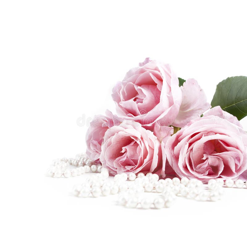 Bello mazzo rosa pastello delle rose e perle nuziali eleganti isolati sopra fondo bianco immagini stock Bello mazzo rosa pastello delle rose e perle nuziali eleganti isolati sopra fondo bianco immagini stock