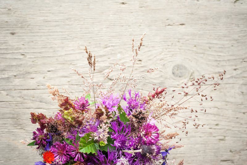 Bello mazzo tenero dei fiori del prato di estate fotografia stock Bello mazzo tenero dei fiori del prato di estate fotografia stock