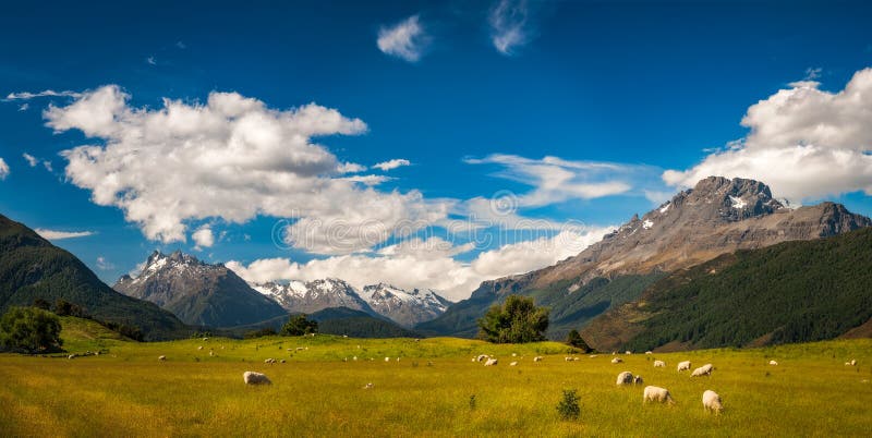 Bello paesaggio alpino pastorale in Nuova Zelanda fotografia stock libera da diritti Bello paesaggio alpino pastorale in Nuova Zelanda fotografia stock libera da diritti