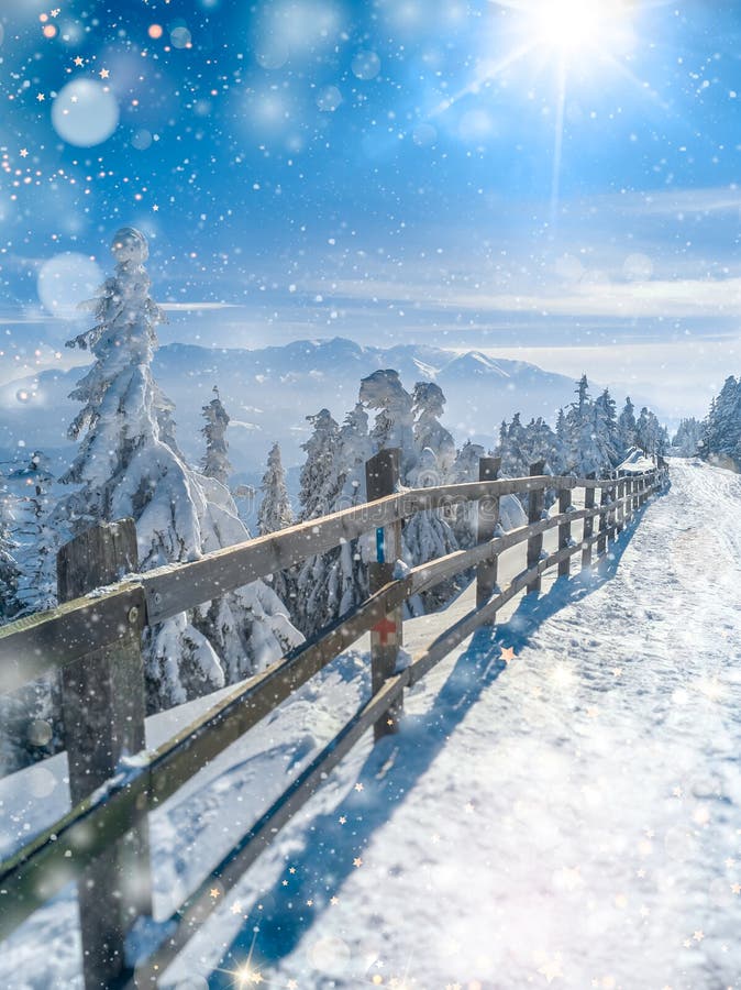 Bello paesaggio del paese delle meraviglie di inverno Fondo scenico di Natale con le luci morbide del bokeh e della neve che cado