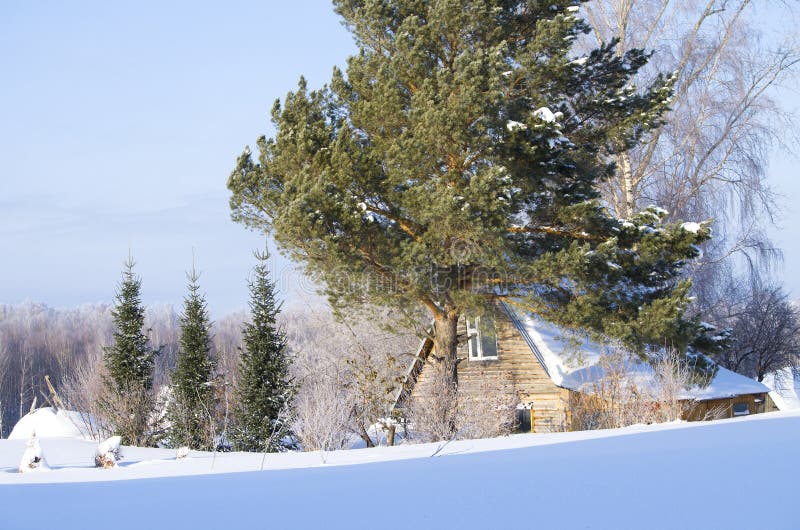 Bello paesaggio dell'inverno in Siberia immagine stock libera da diritti Bello paesaggio dell'inverno in Siberia immagine stock libera da diritti