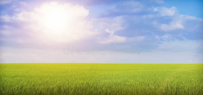 Bello paesaggio di estate della natura Cielo blu, erba, grano e sole luminoso immagini stock libere da diritti Bello paesaggio di estate della natura Cielo blu, erba, grano e sole luminoso immagini stock libere da diritti