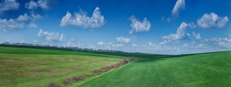 Bello paesaggio verde di estate del campo immagine stock libera da diritti Bello paesaggio verde di estate del campo immagine stock libera da diritti