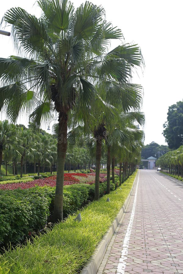 Bello paesaggio verde a Putrajaya Malesia immagine stock Bello paesaggio verde a Putrajaya Malesia immagine stock