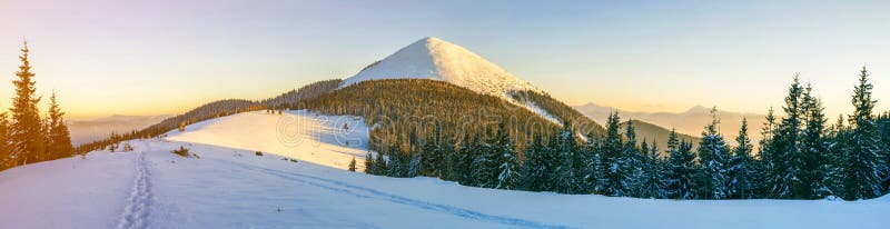 Bello panorama di inverno Abbellisca con i pini attillati, il cielo blu con la luce del sole e le alte montagne carpatiche su fon immagini stock Bello panorama di inverno Abbellisca con i pini attillati, il cielo blu con la luce del sole e le alte montagne carpatiche su fon immagini stock