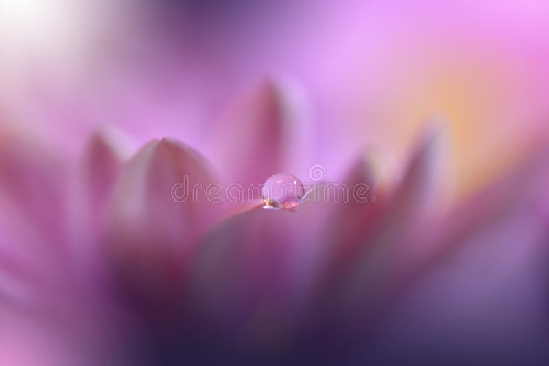 Bello sfondo della natura Sfondo astratto Invito nuziale Sfondo colore Gerbera Flower Fiori di pastello Celebrazione fotografia stock libera da diritti Bello sfondo della natura Sfondo astratto Invito nuziale Sfondo colore Gerbera Flower Fiori di pastello Celebrazione fotografia stock libera da diritti