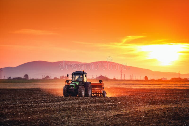Bello tramonto, agricoltore in trattore che prepara terra con il semenzaio