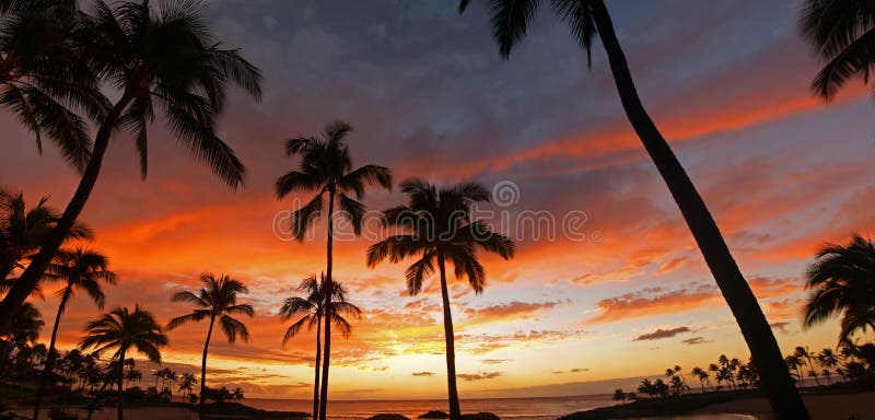 Bello tramonto hawaiano al ricorso di Koolina fotografia stock Bello tramonto hawaiano al ricorso di Koolina fotografia stock
