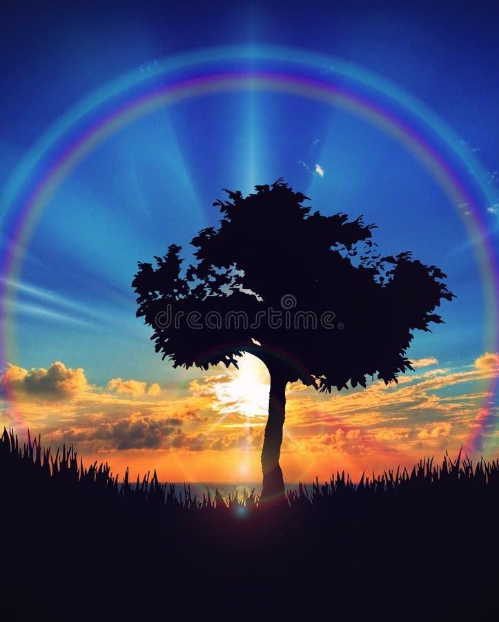 Bello tramonto sopra il paesaggio della natura del cielo dell'arcobaleno della siluetta dell'albero dell'acqua fotografia stock libera da diritti Bello tramonto sopra il paesaggio della natura del cielo dell'arcobaleno della siluetta dell'albero dell'acqua fotografia stock libera da diritti