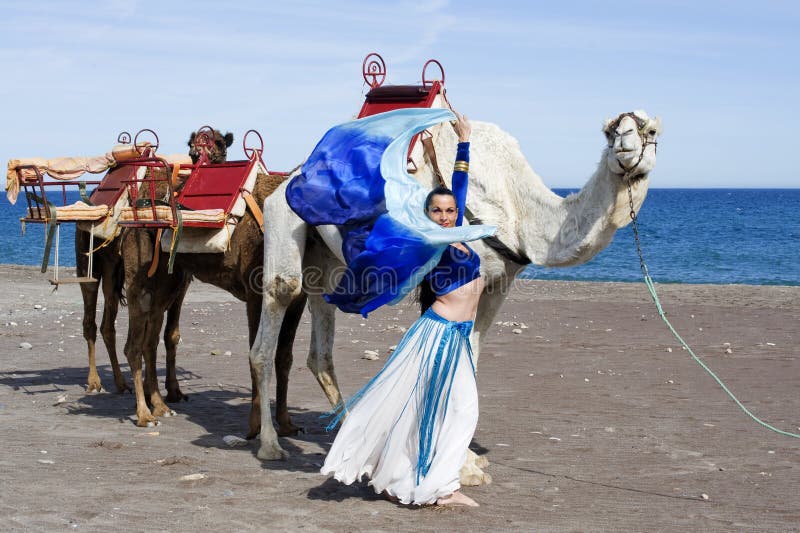 Belly Dancer and Camel Train Stock Photo Image of lady, seductive