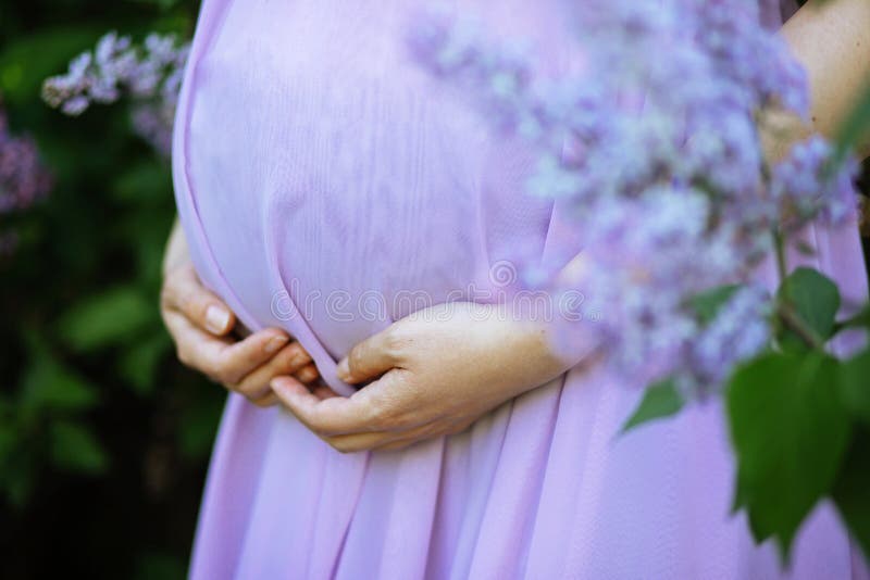 Belly of a pregnant woman stock photography Belly of a pregnant woman stock photography
