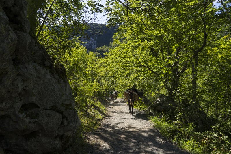 Belo dia ensolarado em Paklenica Nationalpark Croácia