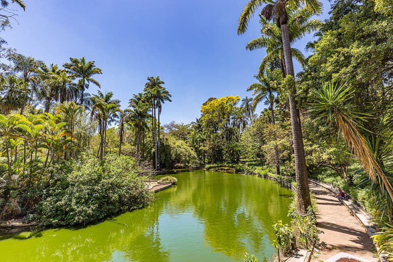 Belo Horizonte, Minas Gerais, Brazil. View from Municipal Park royalty free stock images Belo Horizonte, Minas Gerais, Brazil. View from Municipal Park royalty free stock images