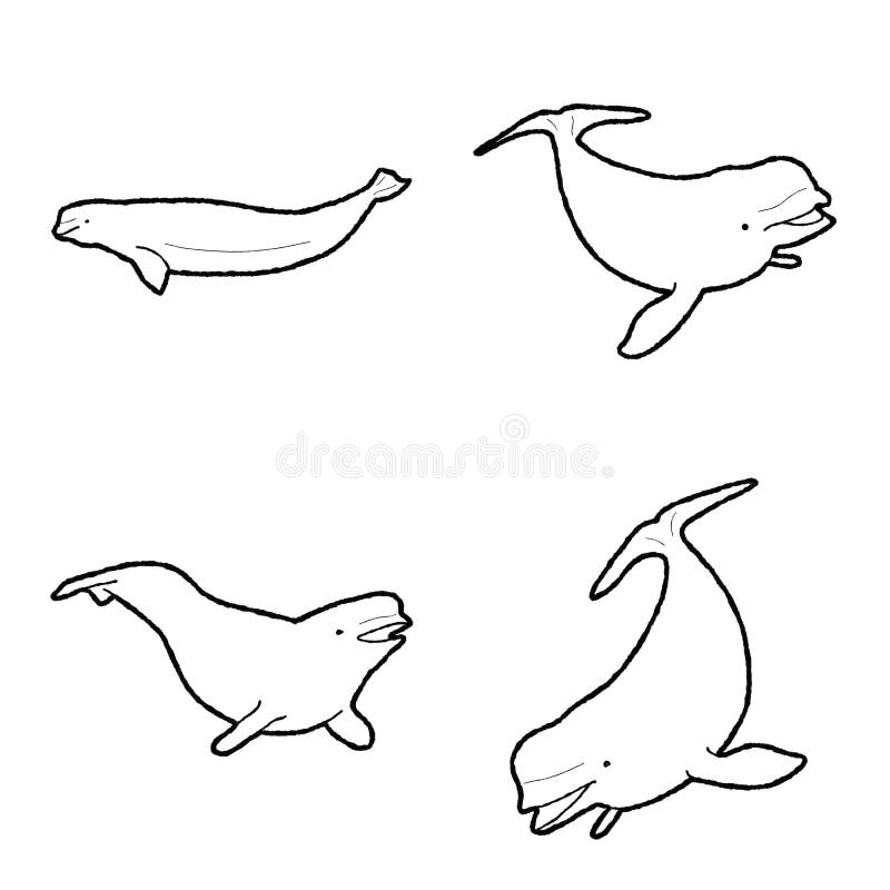 Arctic Fox Animal Vector Illustration Hand Drawn Cartoon Art Stock