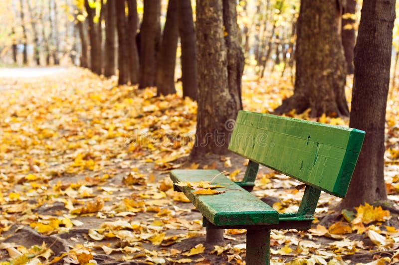 Bench in autumn park