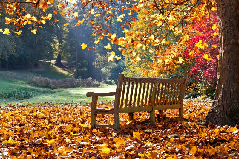 Landscape with bench stock image. Image of green, beauty 16680971