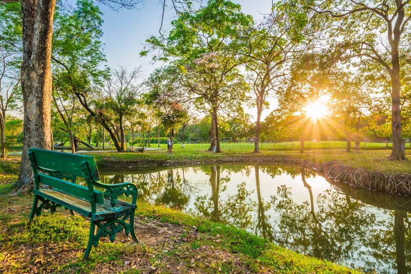 Bench in the Central Green Park Stock Image Image of leaves, flower