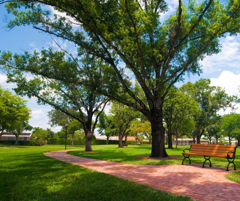 Bench before the curve