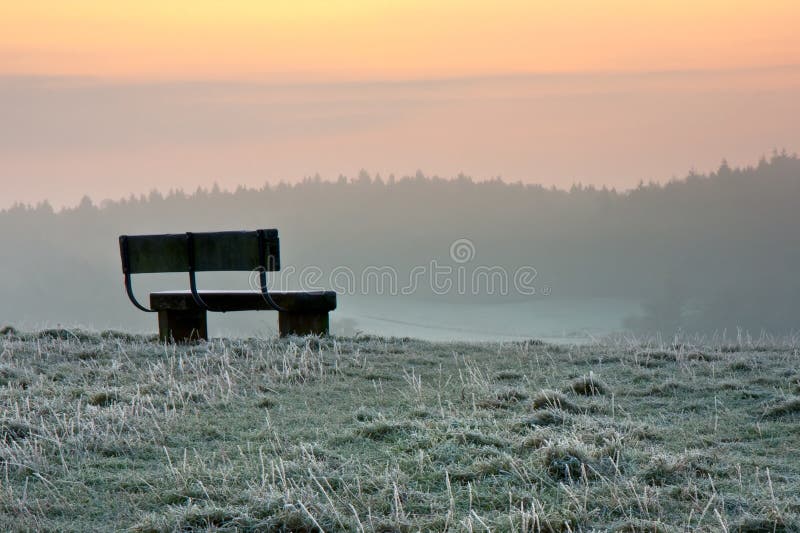 Bench at Dawn