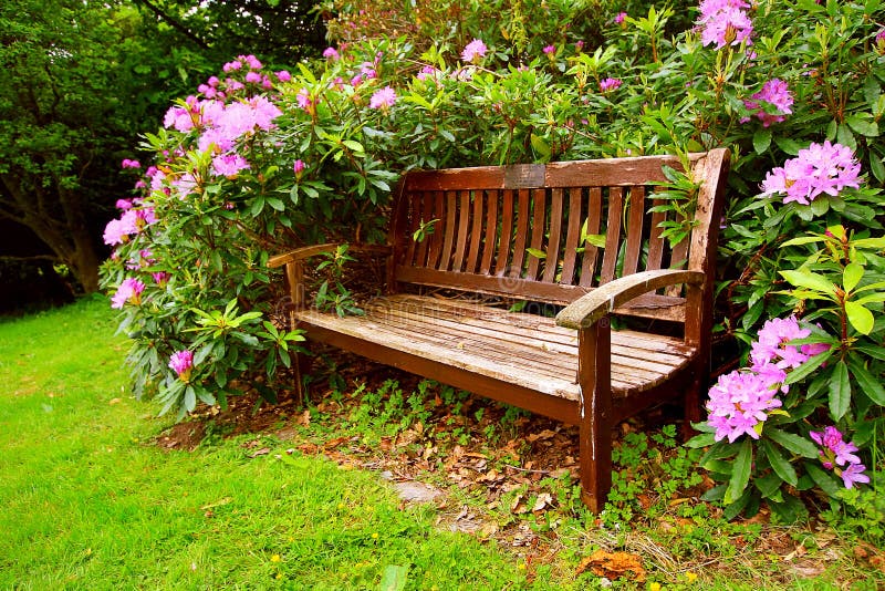 A bench with flowers stock image