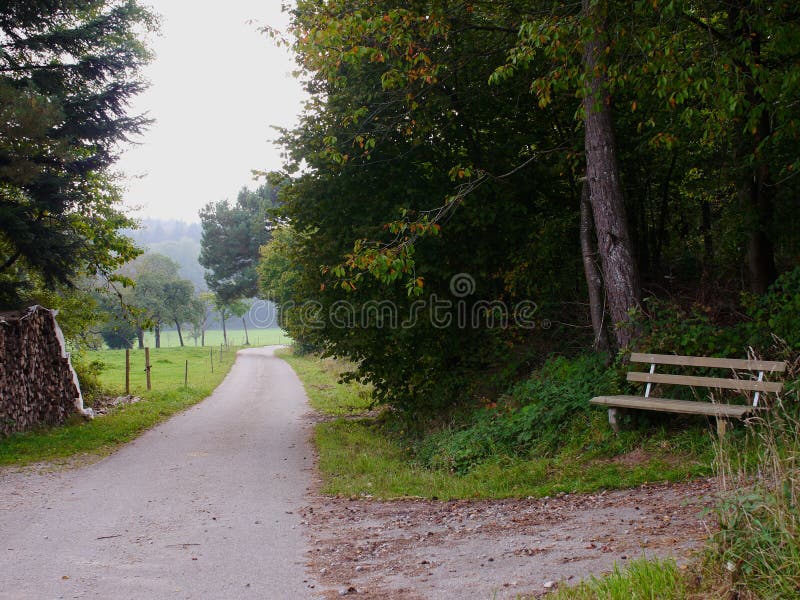 A bench in the forest in southern Germany royalty free stock photo A bench in the forest in southern Germany royalty free stock photo