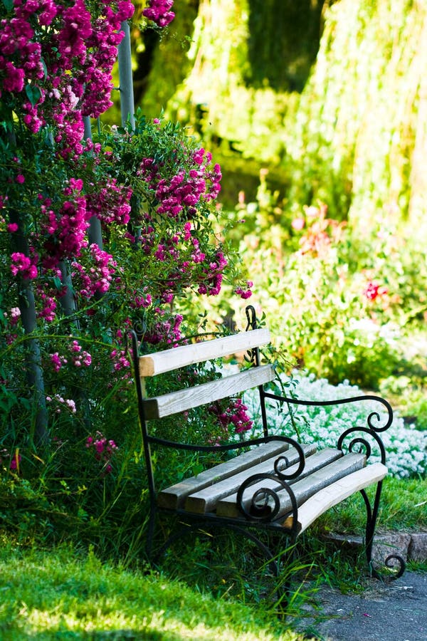 Bench in the garden