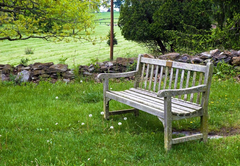 Bench in Grass Area