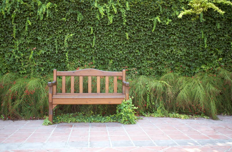 Bench in green park stock image. Image of leaf, nature 15632911