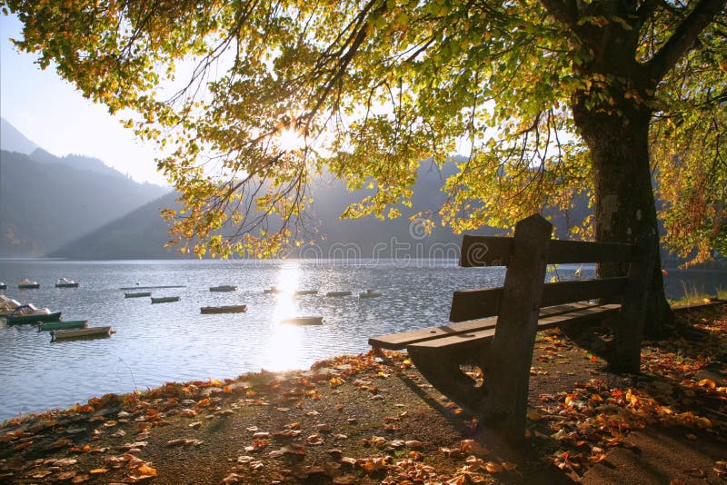 Bench on the lake