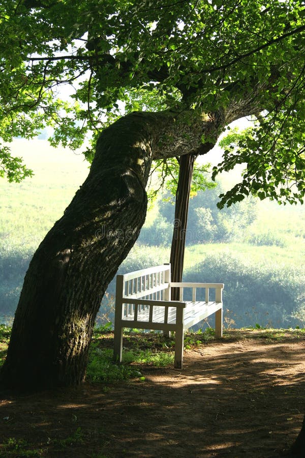 Bench. (Manor Trigorskoe)