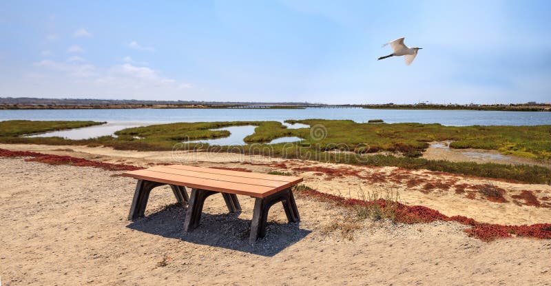 Bench overlooking the peaceful and tranquil marsh of Bolsa Chica wetlands