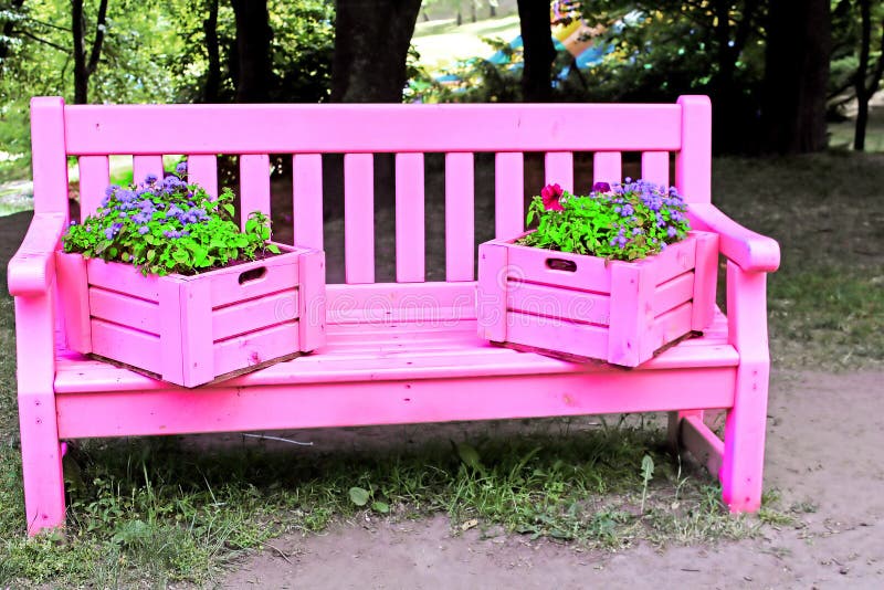 Bench Painted in Pink Color Stock Image Image of object, interval
