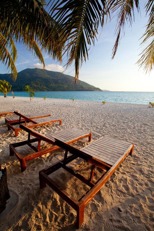 Bench with Palm forest