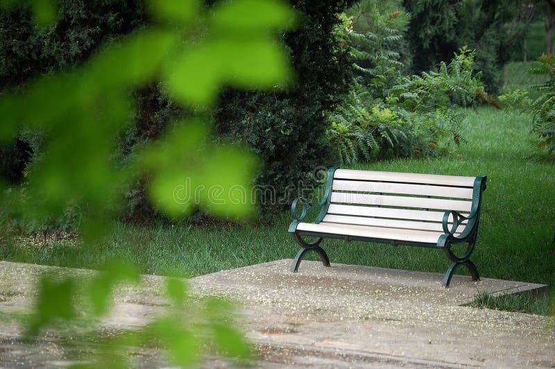 Bench in a park